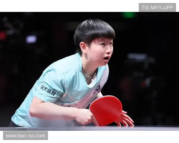 乒超联赛职业化发展中的成就与挑战分析